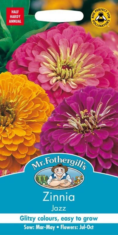 Sinnia 'Jazz' - Zinnia elegans
