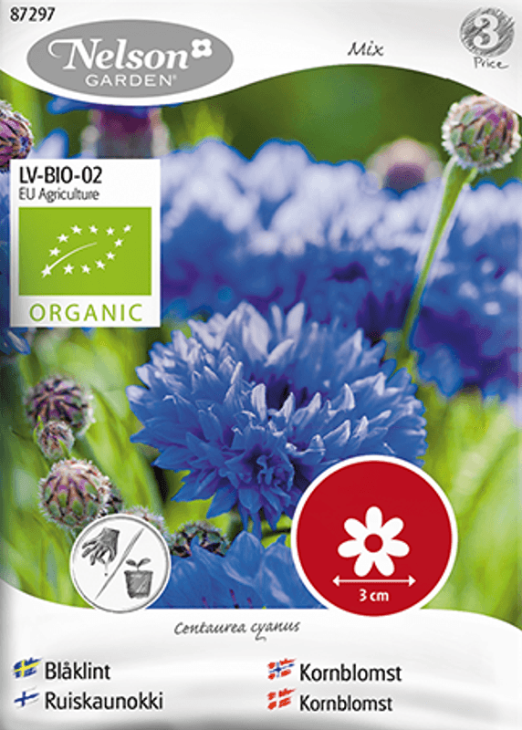 Kornblomst blandede farger - Centaurea cyanus - Organic