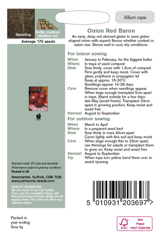 Kepaløk 'Red Baron' - Allium cepa