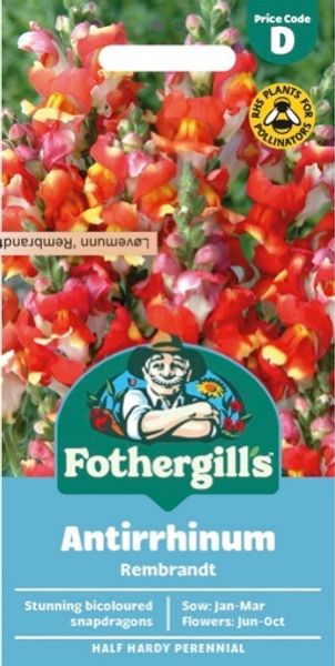 Hovedbilde Løvemunn 'Rembrandt’ - Antirrhinum majus