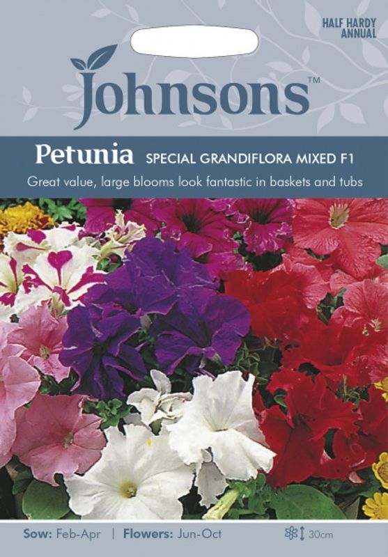Petunia 'Special Grandiflora Mixed' F1 - Petunia grandiflora