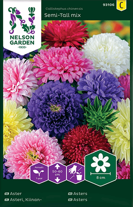 Hovedbilde Sommeraster 'Semi Tall Mix'