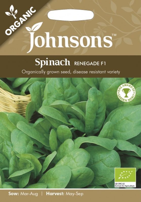 Spinat 'Renegade' F1 - Spinacia oleracea - Organic