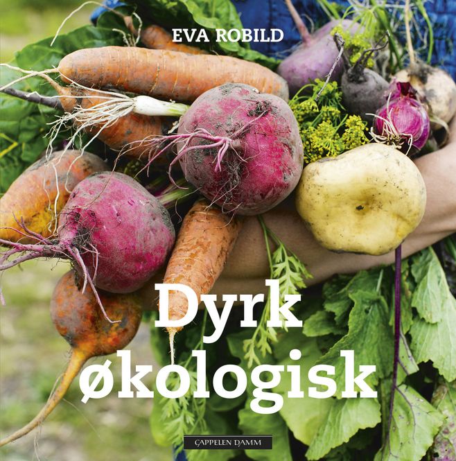 Hovedbilde Dyrk økologisk