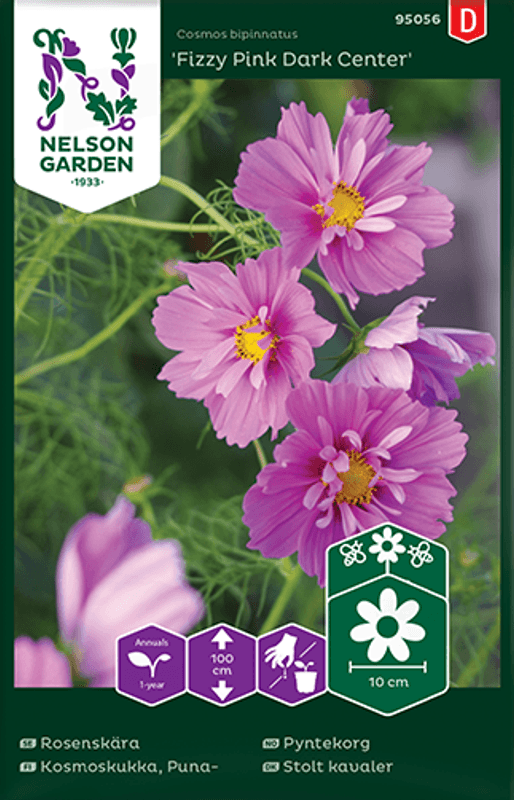 Pyntekorg 'Fizzy Pink Dark Center' - Cosmos bipinnatus