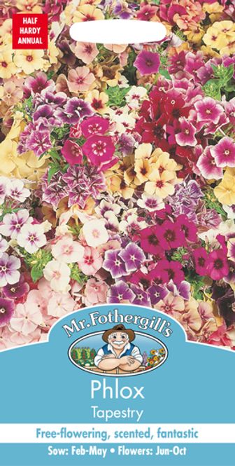 Hovedbilde Sommerfloks 'Tapestry' - Phlox drummondii