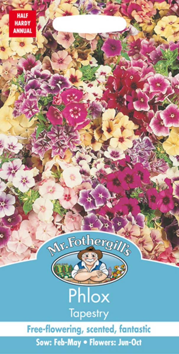 Sommerfloks 'Tapestry' - Phlox drummondii