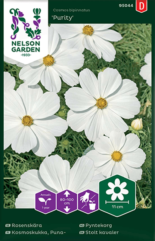 Pyntekorg 'Purity’ - Cosmos bipinnatus 
