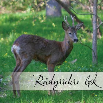 Hovedbilde Rådyrsikre løk
