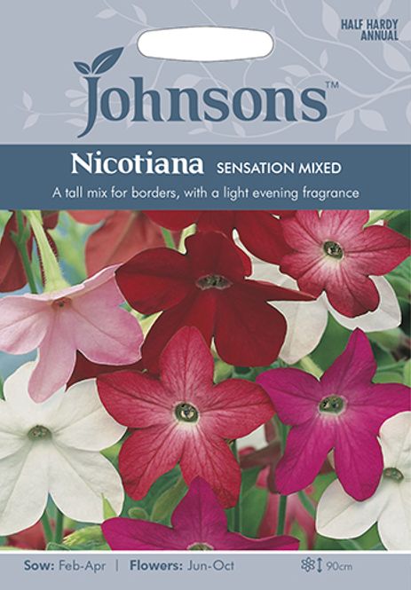 Hovedbilde Prydtobakk 'Sensation Mixed' - Nicotiana x sanderae