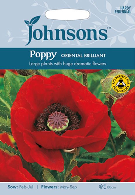 Hovedbilde Orientvalmue 'Oriental Brilliant’ - Papaver orientale