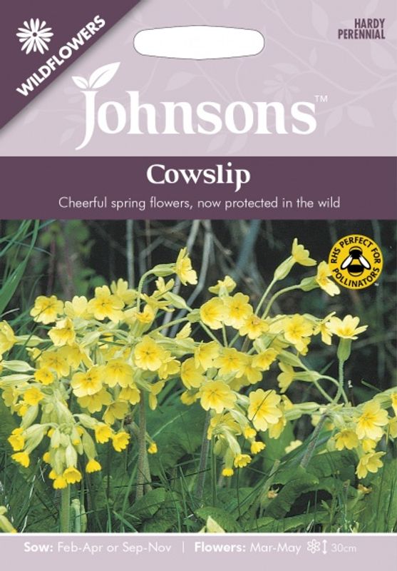 Marianøkleblom - Primula veris