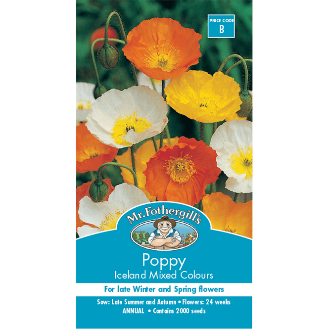 Hovedbilde Sibirvalmue 'Iceland Mixed' - Papaver nudicaule