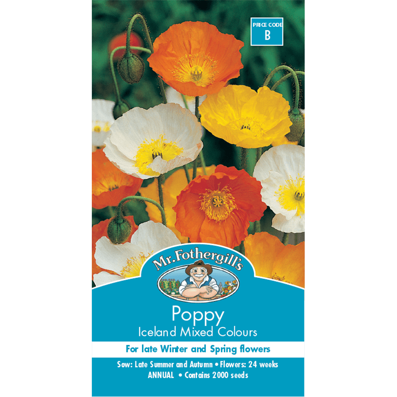 Sibirvalmue 'Iceland Mixed' - Papaver nudicaule