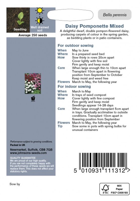 Tusenfryd 'Pomponette Mixed' - Bellis perennis 