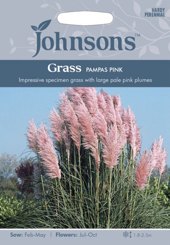 Pampasgress, rosa - Cortaderia selloana
