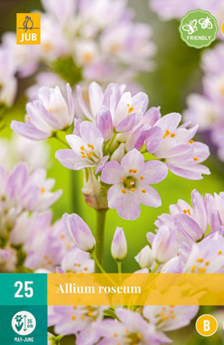 Kvickløk - Allium roseum - 25 stk