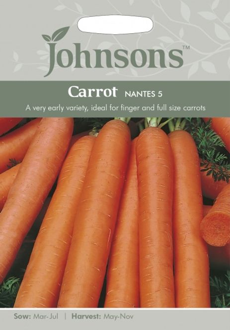 Hovedbilde Gulrot 'Nantes 5' - Daucus carota 