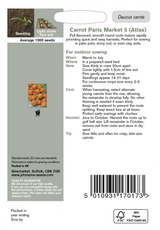 Gulrot 'Paris Market 5' (Atlas) - Daucus carota