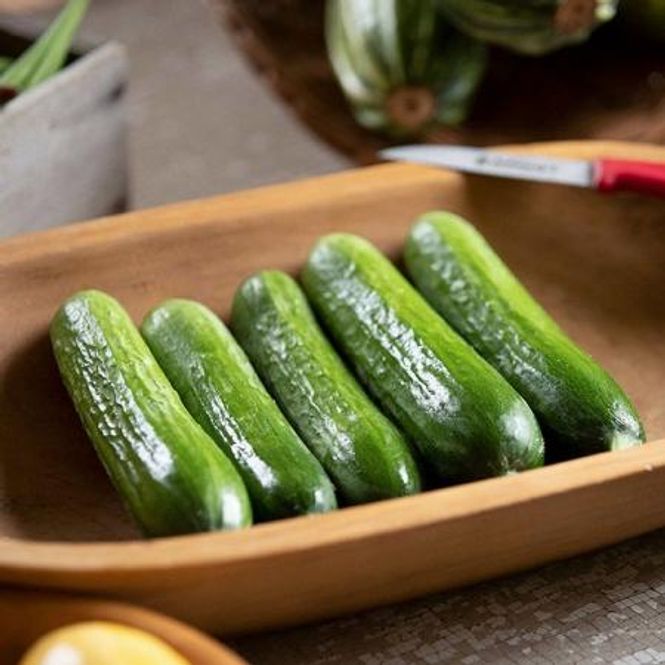 Hovedbilde Slangeagurk 'Picolino' F1 mini - Cucumis sativus