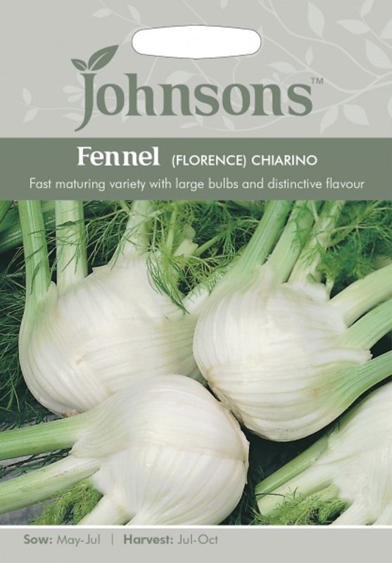 Knollfennikel 'Chiarino' - Foeniculum vulgare