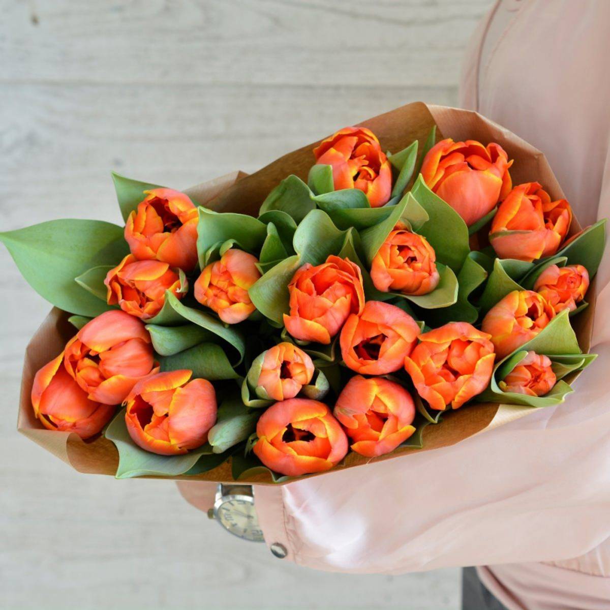 Tulipan 'Queensday', sen dobbel - 10 stk