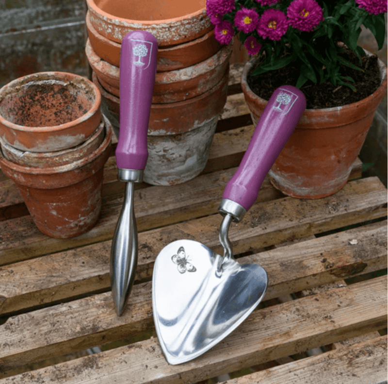 RHS gaveeske, hjertespade og plantepinne - Asteraceae