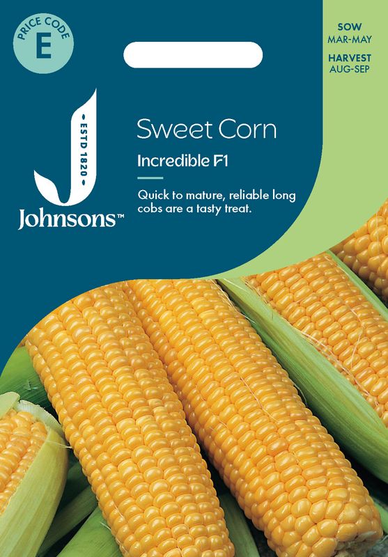 Mais 'Incredible' F1 - Zea mays 