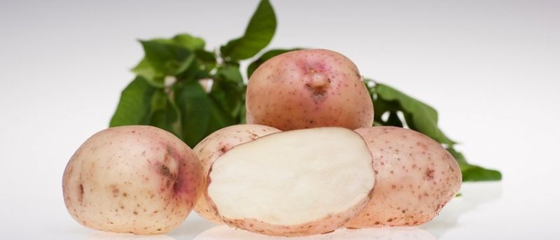 Settepotet, halvsen 'Kerrs Pink' 1 kg