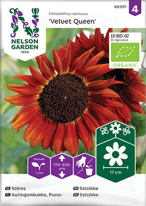 Hovedbilde Solsikke 'Velvet Queen'' - Helianthus annuus, Organic