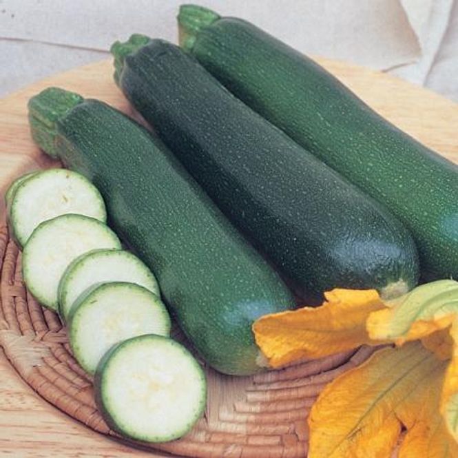 Hovedbilde Squash 'Firenze' F1 - Cucurbita pepo