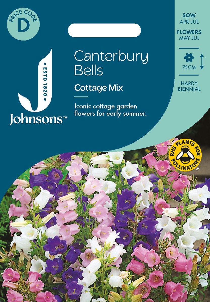 Mariaklokke 'Cottage Mixed' - Campanula medium