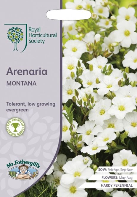 Hovedbilde Bergsandarve - Arenaria montana