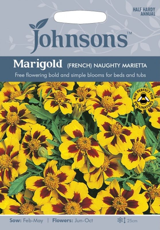 Fløyelsblomst 'Naughty Marietta' - Tagetes patula