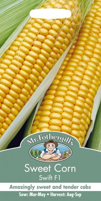 Hovedbilde Mais 'Swift' F1 - Zea mays