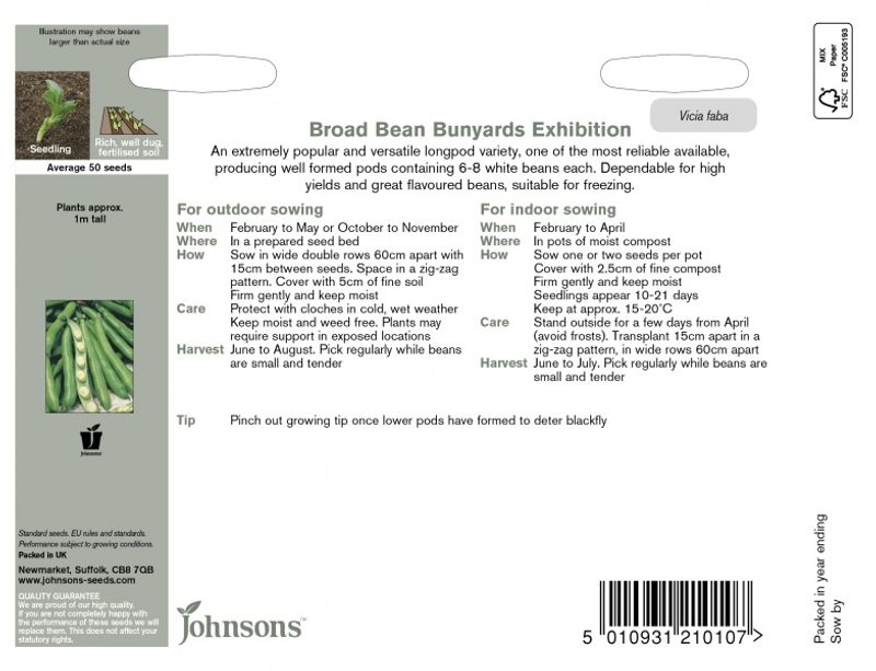 Bondebønne 'Bunyards Exhibition' - Vicia faba