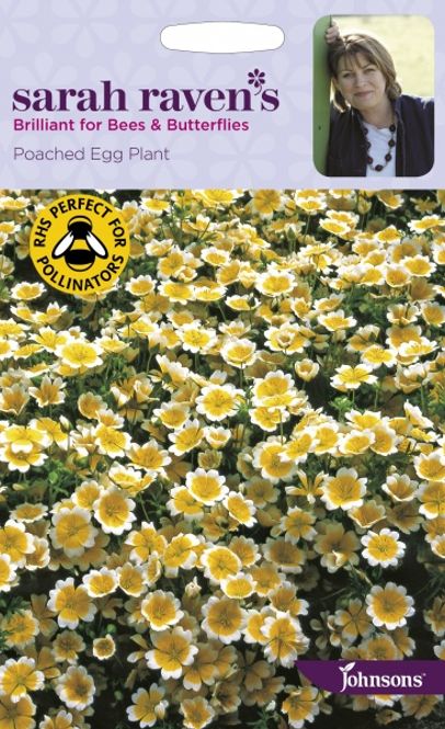 Hovedbilde Sumpsnabel - Limnanthes douglasii