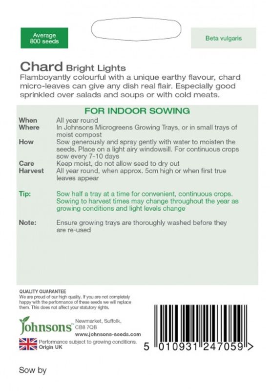 Mangold 'Bright Lights' - Micro Greens