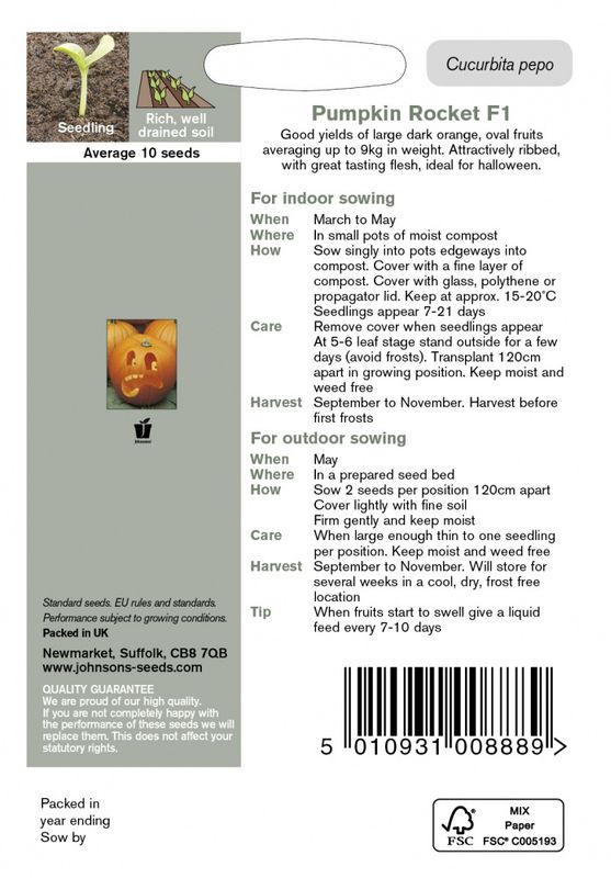 Gresskar 'Rocket’ F1 - Cucurbita pepo