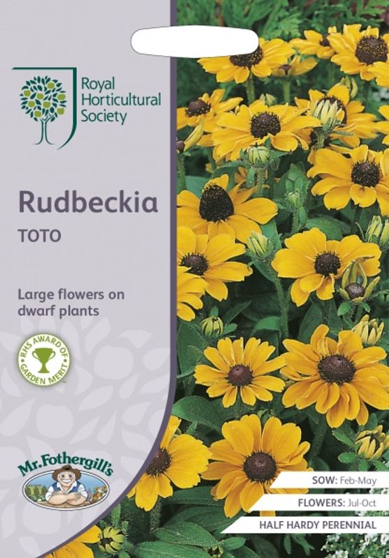 Lodnesolhatt 'Toto' - Rudbeckia hirta 