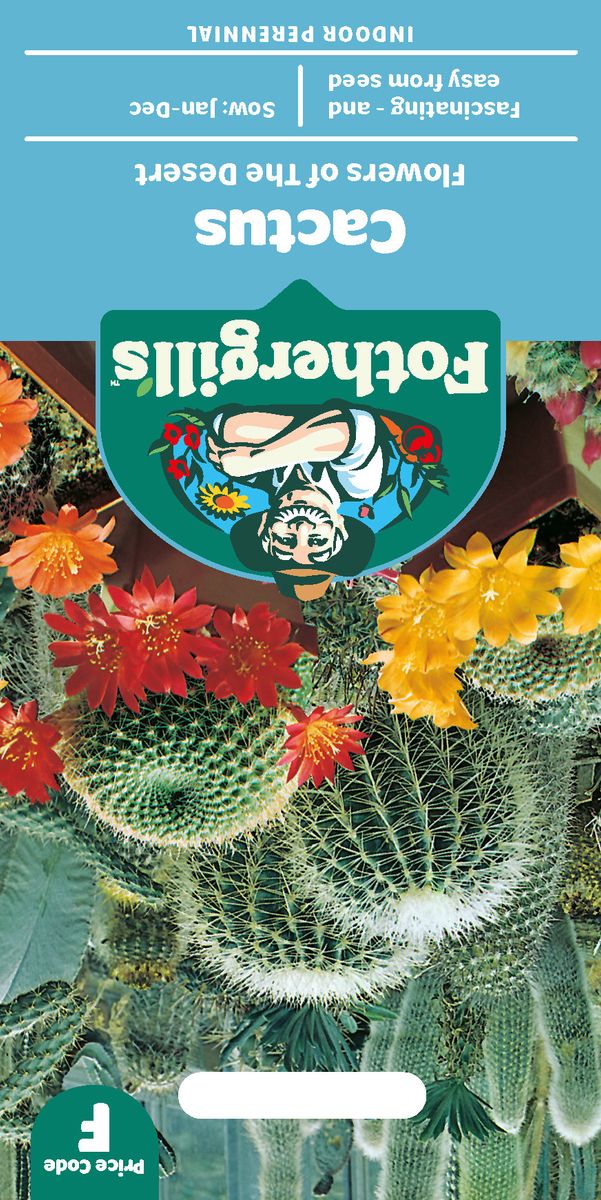 Kaktus 'Flowers of the Desert'