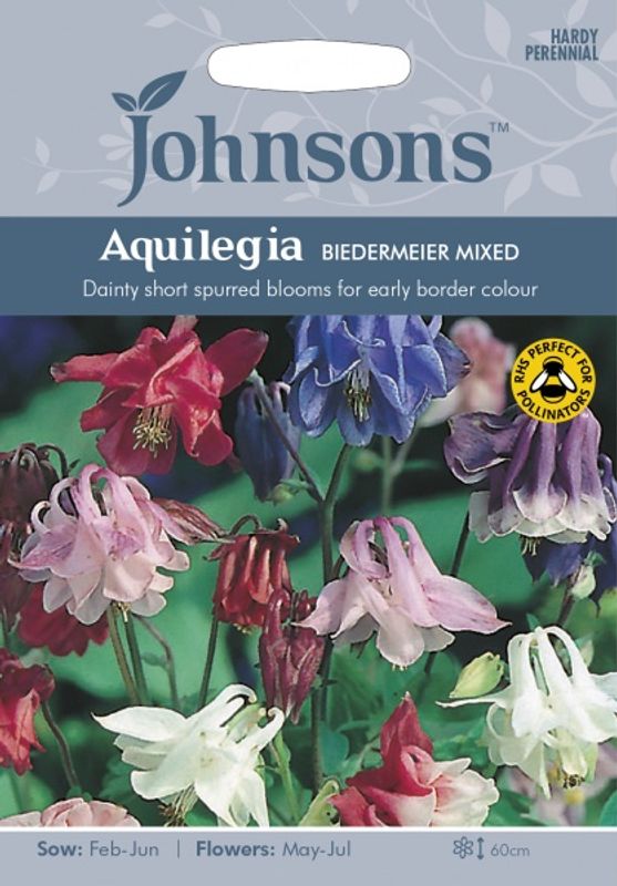 Akeleie 'Biedermeier Mixed' - Aquilegia vulgaris 