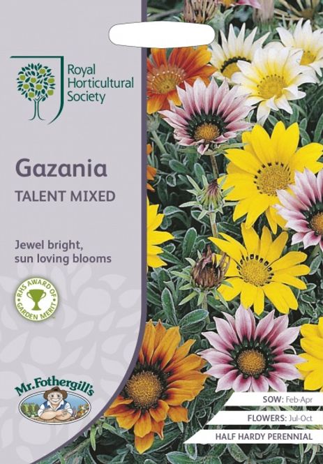 Hovedbilde Påfuglblomst 'Talent Mixed' - Gazania splendens
