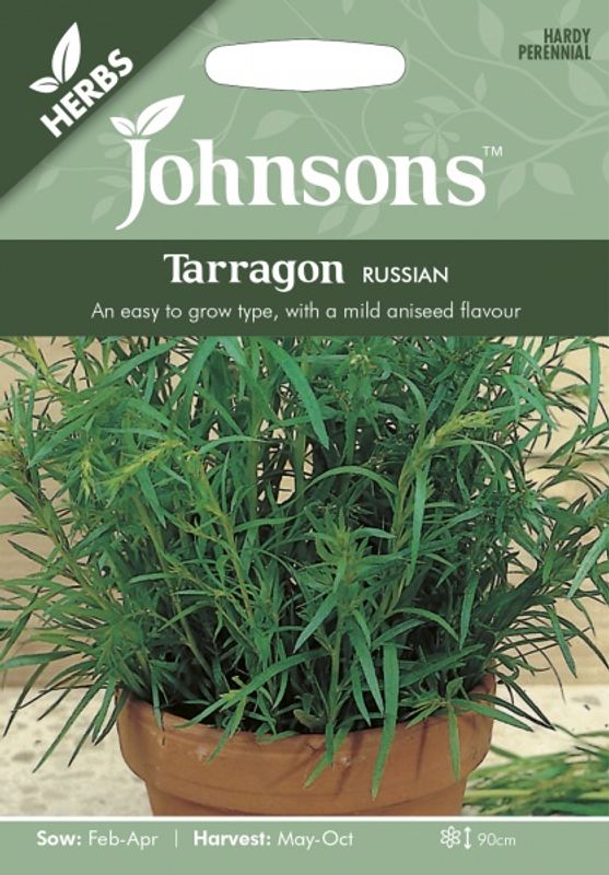 Russisk estragon - Artemisia dracunculoides