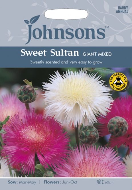 Hovedbilde Moskusknoppurt 'Giant Mixed' - Amberboa moschata