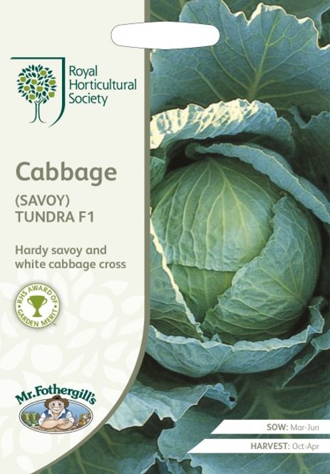 Hovedbilde Savoikål 'Tundra' F1 - Brassica oleracea var. sabauda