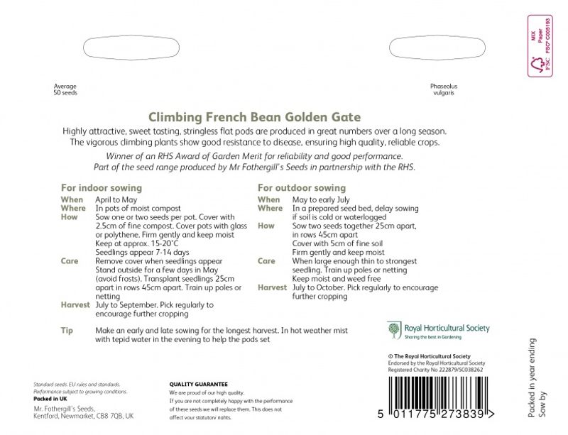 Stangbønne 'Golden Gate' - Phaesolus vulgaris var. vulgaris