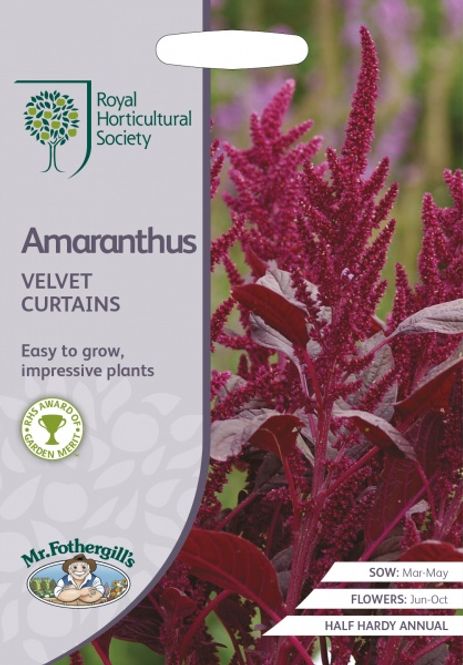 Hovedbilde Toppamarant 'Velvet Curtains' - Amaranthus cruentus