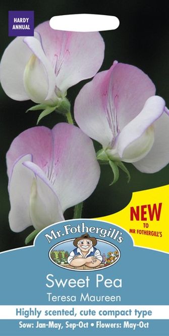 Hovedbilde Blomsterert 'Teresa Maureen' - Lathyrus odoratus 