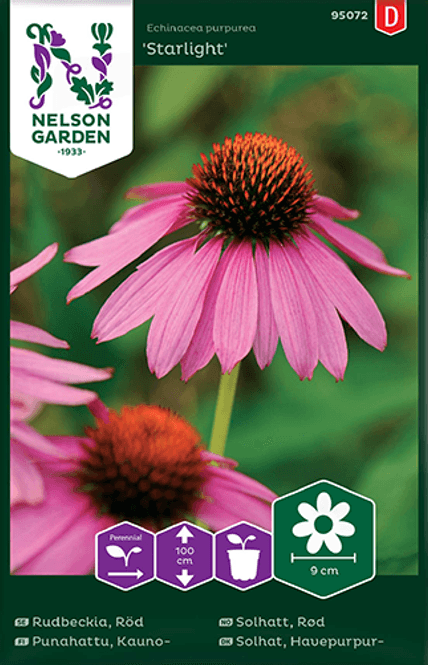 Hovedbilde Purpursolhatt 'Starlight' - Echinacea purpurea 